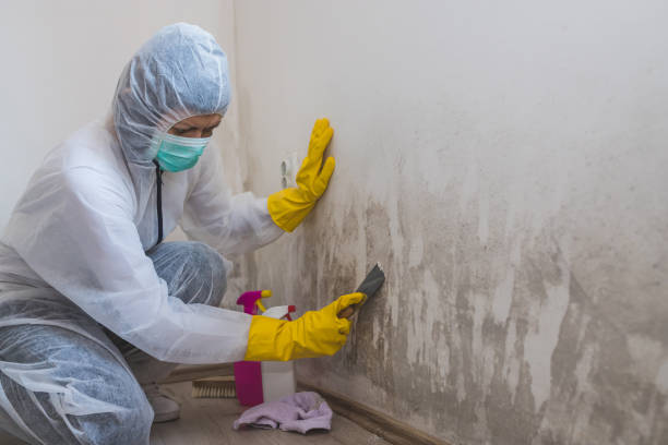 Best Water Damage Restoration  in Mcswain, CA