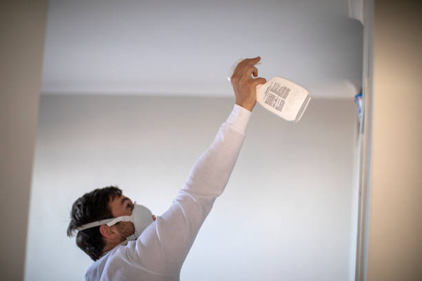 Best Toxic Mold Removal  in Mcswain, CA