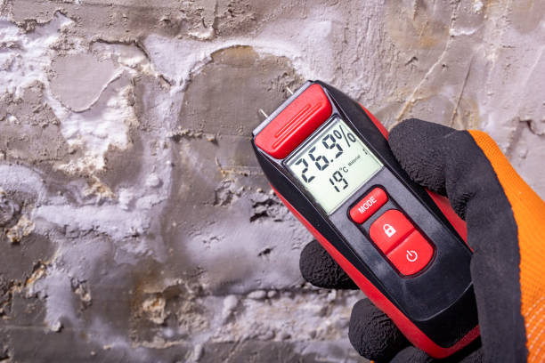 Best Mold Testing  in Mcswain, CA