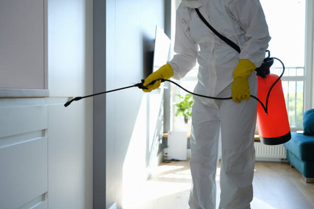 Mold Testing and Removal in Mcswain, CA