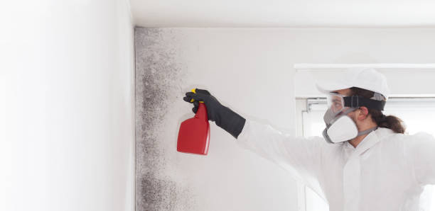 Crawl Space Mold Removal in Mcswain, CA