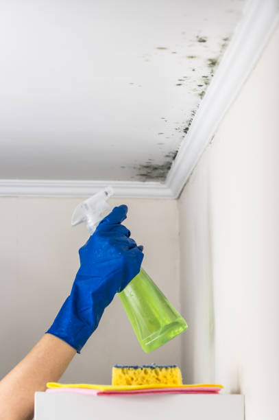Best Crawl Space Mold Removal  in Mcswain, CA